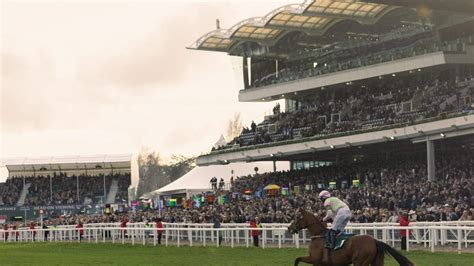 cheltenham tips saturday|Home .